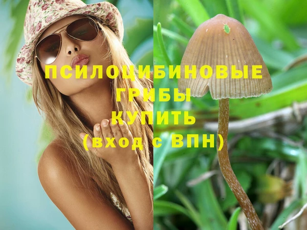 марки lsd Бородино
