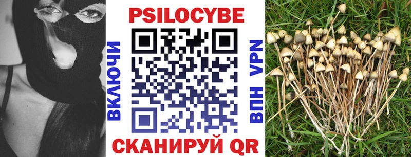 Галлюциногенные грибы ЛСД  Купить закладки  Людиново 